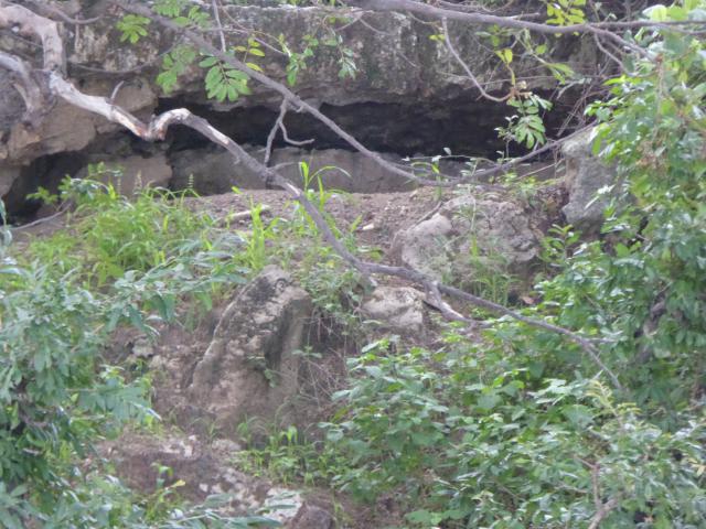 ../photos/Botswana/Jane/P1040344.jpg?t=1775422308