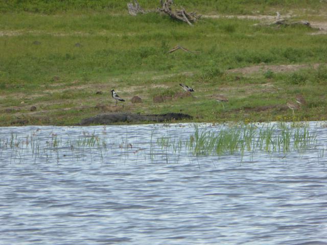 ../photos/Botswana/Jane/P1040347.jpg?t=1775422308