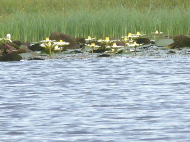 ../photos/Botswana/Jane/P1040349.jpg?t=1775422308