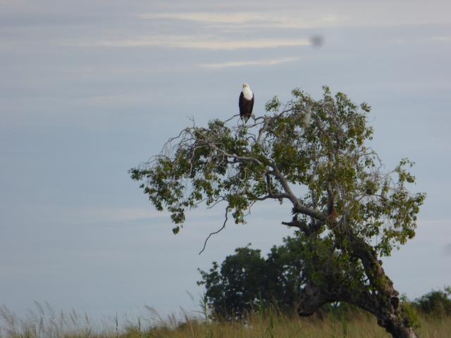 ../photos/Botswana/Jane/P1040352.jpg?t=1775422308
