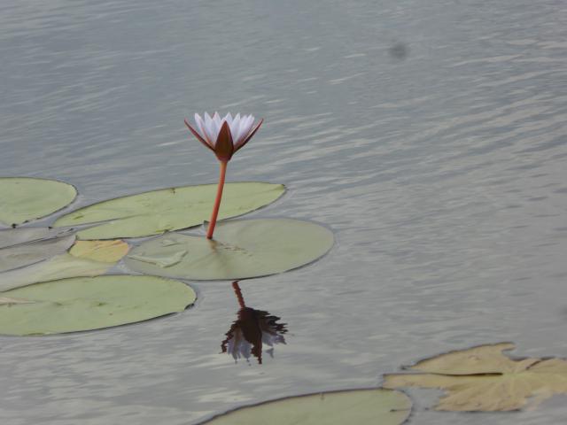 ../photos/Botswana/Jane/P1040380.jpg?t=1775422308