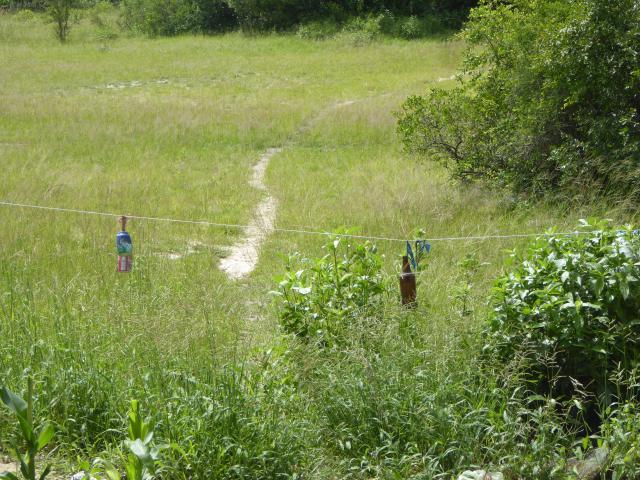 ../photos/Botswana/Jane/P1040403.jpg?t=1775422308