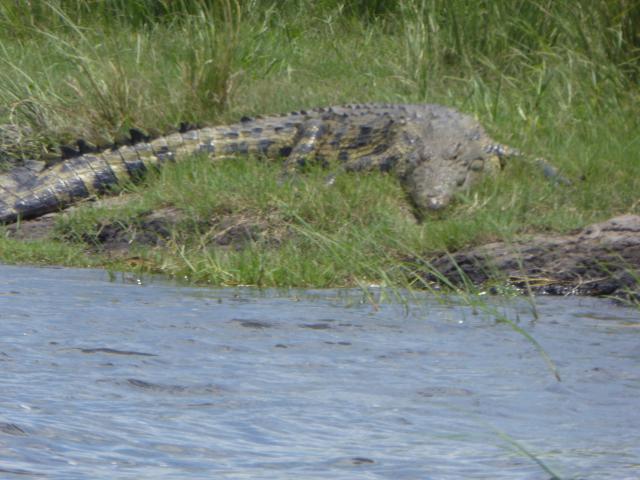 ../photos/Botswana/Jane/P1040442.jpg?t=1775422308