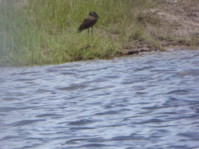 ../photos/Botswana/Jane/P1040443.jpg?t=1775422308