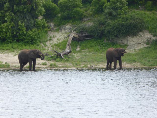 ../photos/Botswana/Jane/P1040451.jpg?t=1775422308