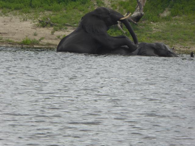 ../photos/Botswana/Jane/P1040454.jpg?t=1775422308