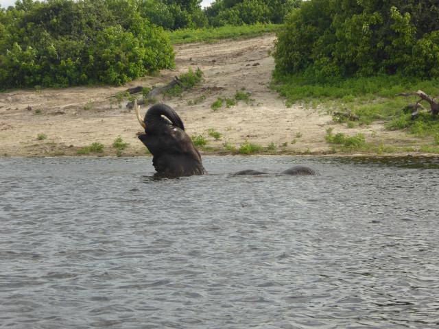 ../photos/Botswana/Jane/P1040461.jpg?t=1775422308