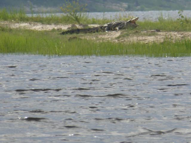../photos/Botswana/Jane/P1040465.jpg?t=1775422308
