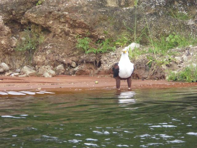 ../photos/Botswana/Jane/P1040476.jpg?t=1775422308