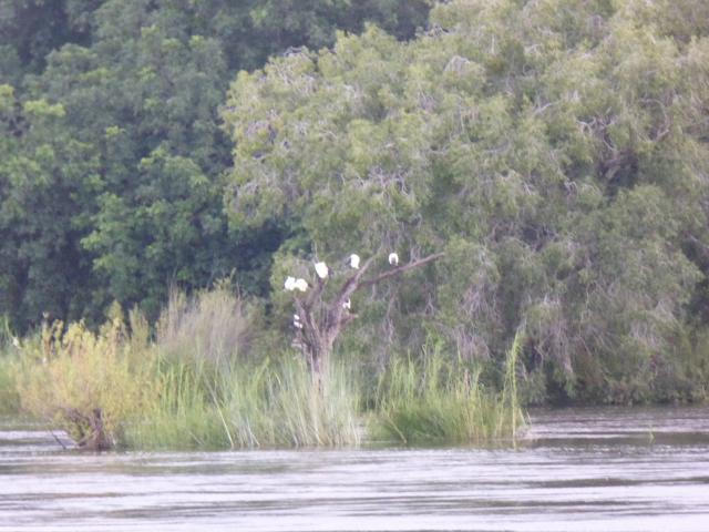 ../photos/Botswana/Jane/P1040529.jpg?t=1775420089