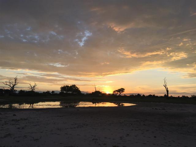 ../photos/Botswana/Sophie/IMG_0496.jpg?t=1775421172