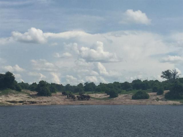 ../photos/Botswana/Sophie/IMG_0498.jpg?t=1775422308