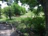 ../photos/Botswana/Syd/IMG_0527_1__1.jpg?t=1775440283