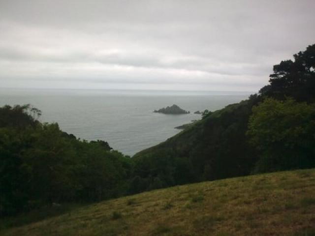 ../photos/Devon/Gill/Image0869.jpg?t=1775439225