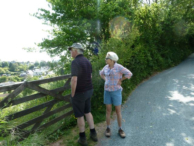 ../photos/Devon/Jane/P1080670.jpg?t=1775439407