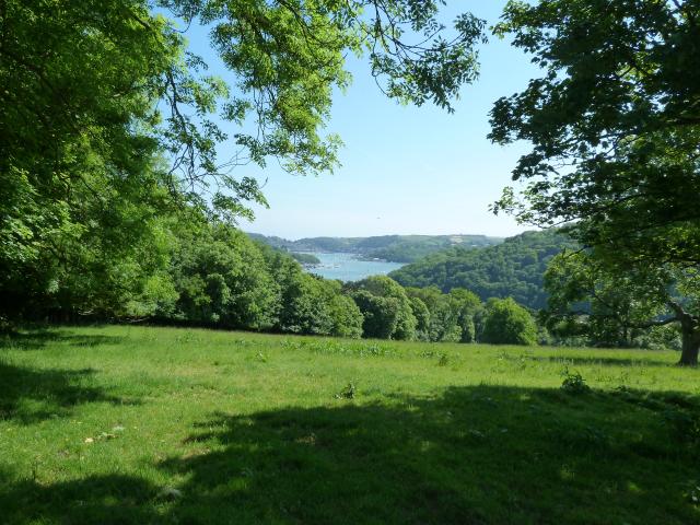 ../photos/Devon/Jane/P1080694.jpg?t=1775439407