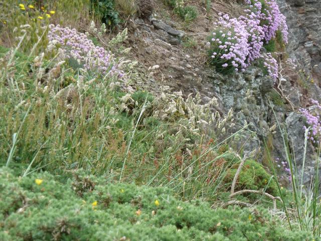 ../photos/Devon/Jane/P1080782.jpg?t=1775268400