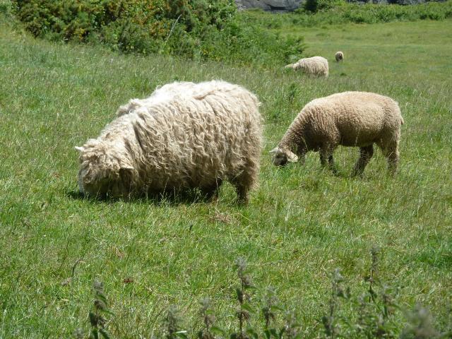 ../photos/Devon/Jane/P1080789.jpg?t=1775439093