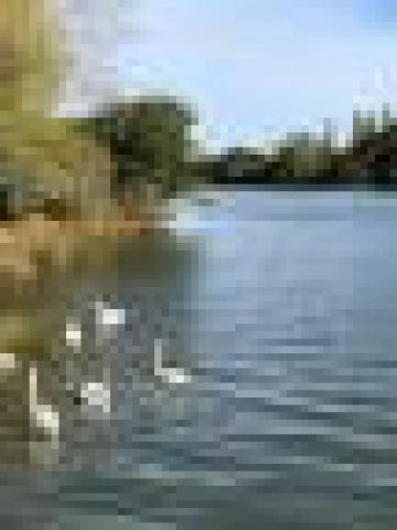 ../photos/IOW18/Caroline/IMG_0503.jpg?t=1776417932