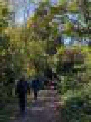 ../photos/IOW18/Caroline/IMG_0506.jpg?t=1776417932