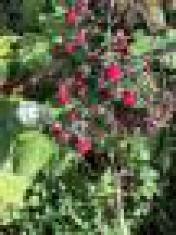 ../photos/IOW18/Caroline/IMG_0509.jpg?t=1776417932