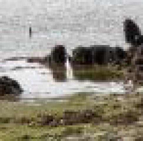 ../photos/IOW18/Caroline/IMG_0524.jpg?t=1776417932