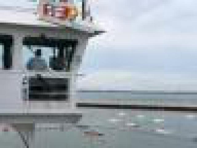 ../photos/IOW18/Caroline/IMG_0529.jpg?t=1776417932