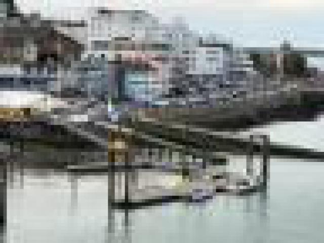 ../photos/IOW18/Caroline/IMG_0531.jpg?t=1776417932