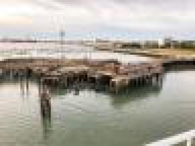 ../photos/IOW18/Caroline/IMG_0533.jpg?t=1776417932