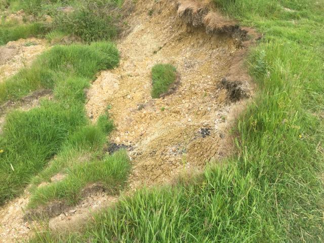 ../photos/IOW18/Graham/IMG_4378.jpg?t=1776420950