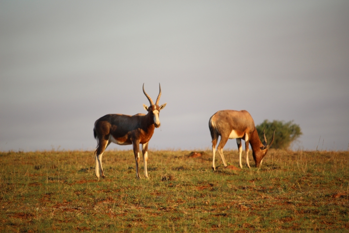 ../photos/SAMOZ19/Emma/IMG_4158.jpg?t=1775440094