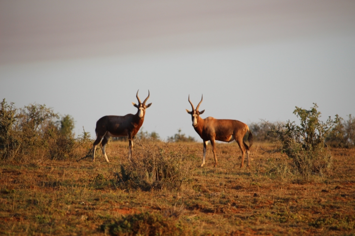 ../photos/SAMOZ19/Emma/IMG_4161.jpg?t=1775440094