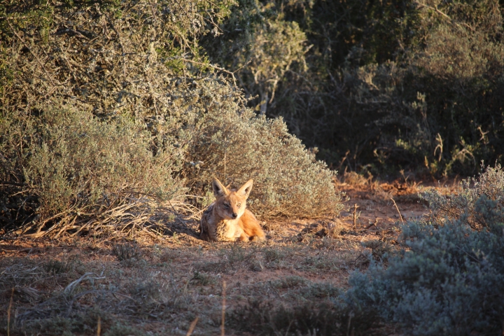 ../photos/SAMOZ19/Emma/IMG_4165.jpg?t=1775440094