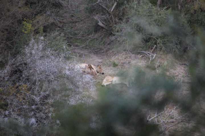 ../photos/SAMOZ19/Emma/IMG_4167.jpg?t=1775440094