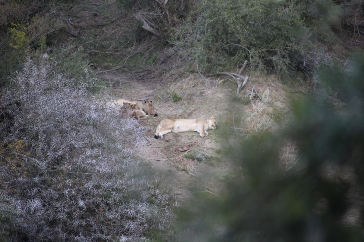 ../photos/SAMOZ19/Emma/IMG_4168.jpg?t=1775440094