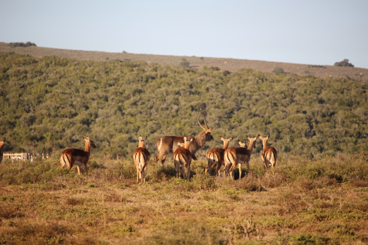 ../photos/SAMOZ19/Emma/IMG_4172.jpg?t=1775440094