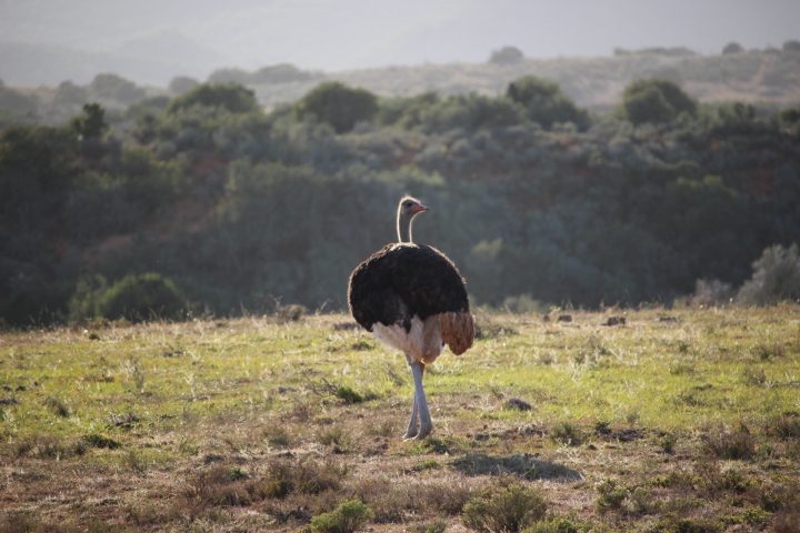 ../photos/SAMOZ19/Emma/IMG_4181.jpg?t=1775440094