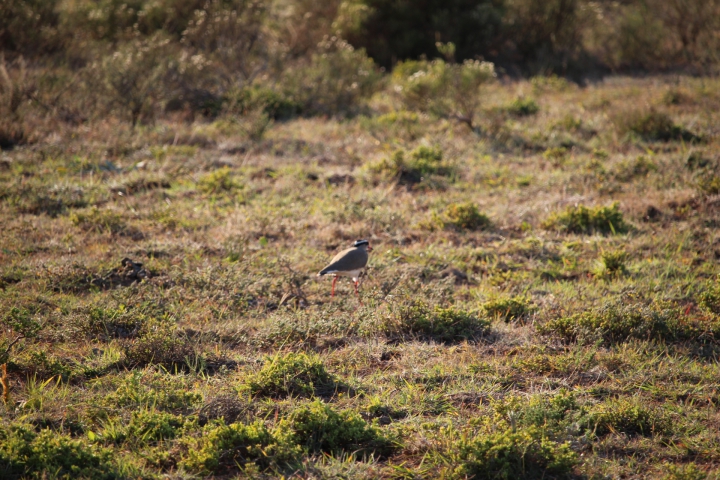 ../photos/SAMOZ19/Emma/IMG_4183.jpg?t=1775440094