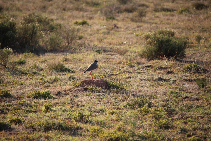 ../photos/SAMOZ19/Emma/IMG_4184.jpg?t=1775440094