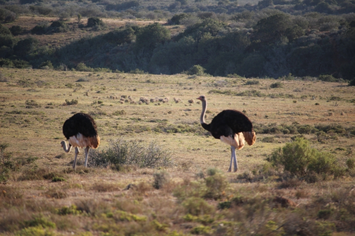 ../photos/SAMOZ19/Emma/IMG_4185.jpg?t=1775440094