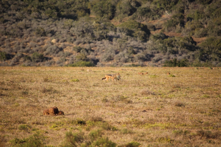 ../photos/SAMOZ19/Emma/IMG_4187.jpg?t=1775440094