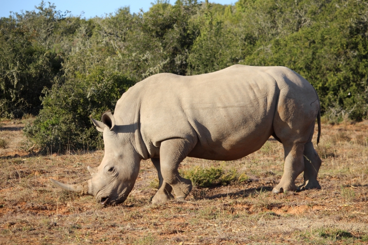 ../photos/SAMOZ19/Emma/IMG_4190.jpg?t=1775440094