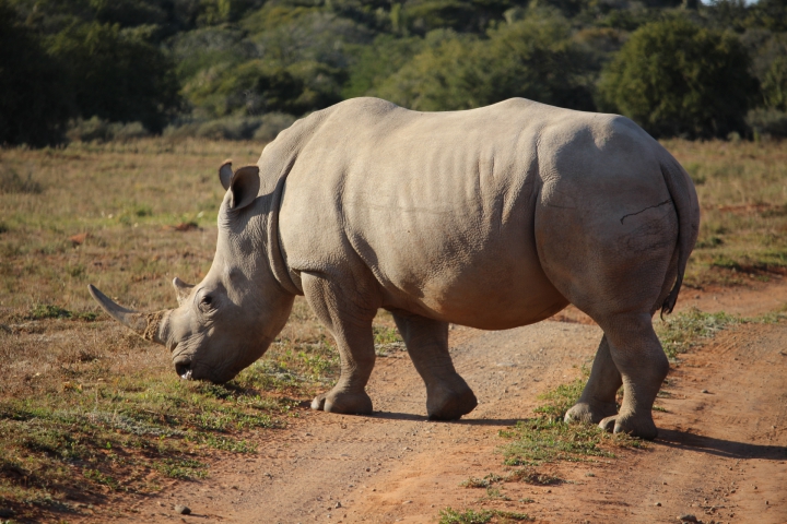 ../photos/SAMOZ19/Emma/IMG_4200.jpg?t=1775440094