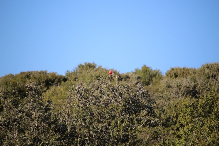 ../photos/SAMOZ19/Emma/IMG_4202.jpg?t=1775440094