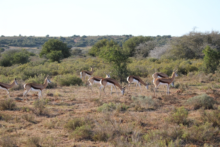 ../photos/SAMOZ19/Emma/IMG_4205.jpg?t=1775440094