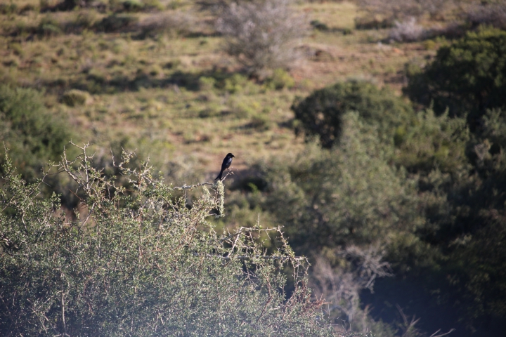 ../photos/SAMOZ19/Emma/IMG_4208.jpg?t=1775440094