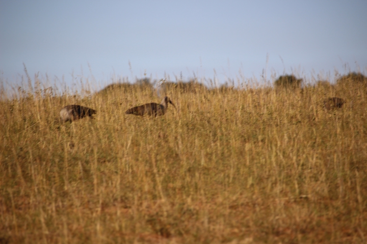 ../photos/SAMOZ19/Emma/IMG_4209.jpg?t=1775440094