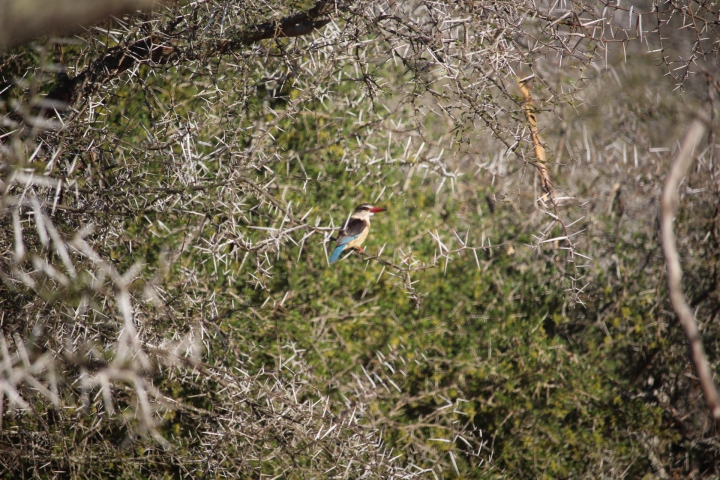 ../photos/SAMOZ19/Emma/IMG_4210.jpg?t=1775440094