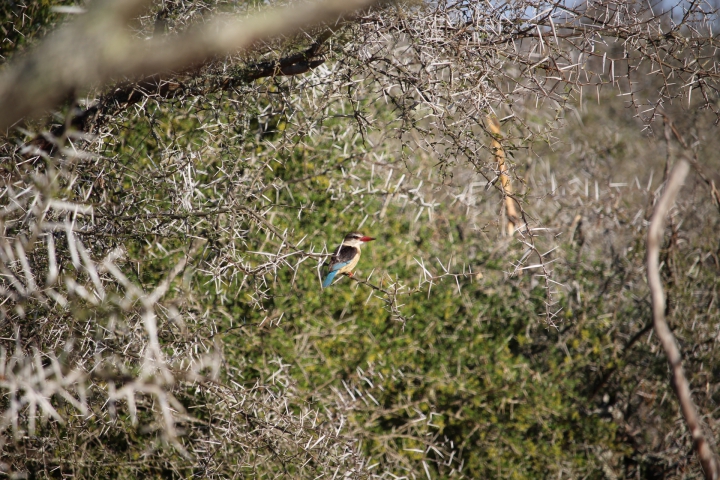 ../photos/SAMOZ19/Emma/IMG_4211.jpg?t=1775440094