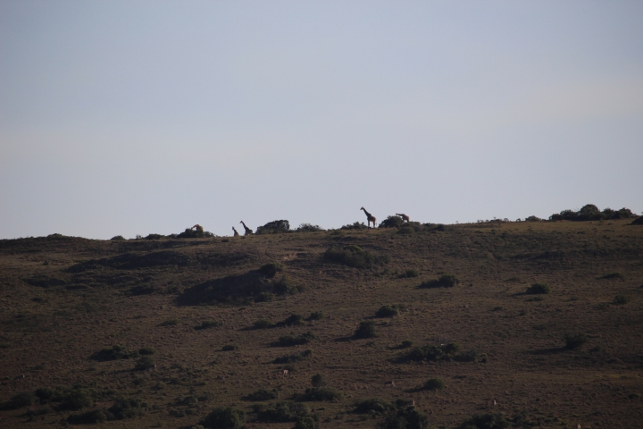 ../photos/SAMOZ19/Emma/IMG_4214.jpg?t=1775440094